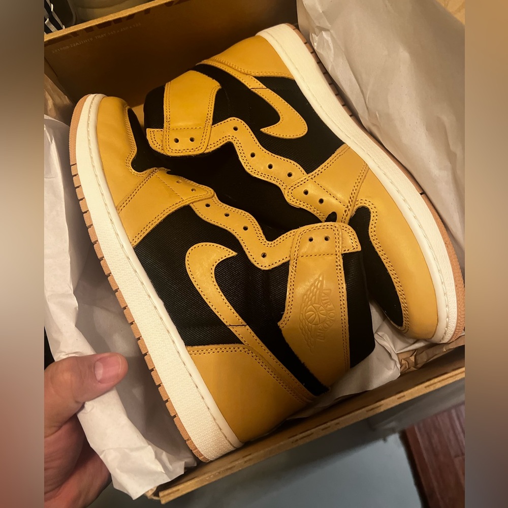 NEW DS Size 14 Air Jordan 1 Heirloom
